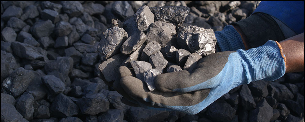HWJ COAL,Coal,Transport, Coal transport,Crushing,Screening,Peas,Nuts,Duff